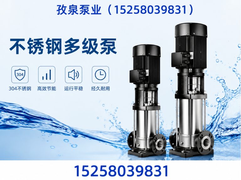 泰顺县循环泵展示图